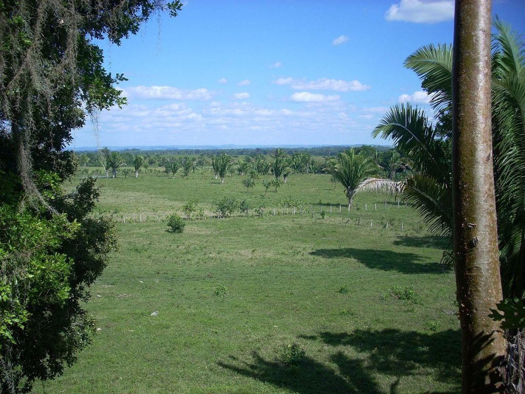 La Blanca