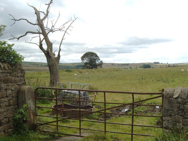 Magna Roman Fort: A Roman Military Post at a Road Junction