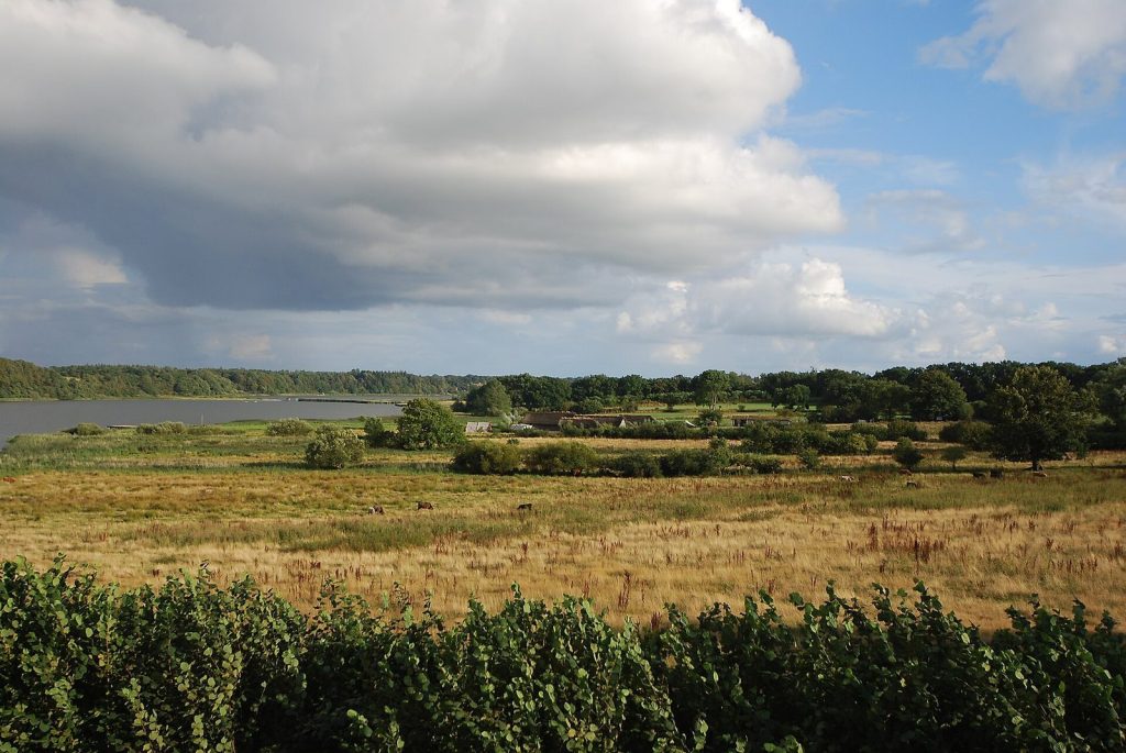 Hedeby: A Viking Age Trading Settlement in Germany 1 Hedeby