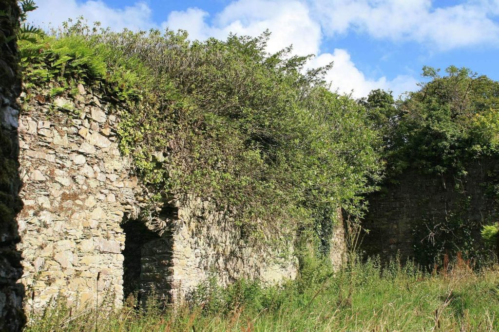 Molana Priory: An Early Irish Monastery and Medieval Religious House 1 Molana Priory