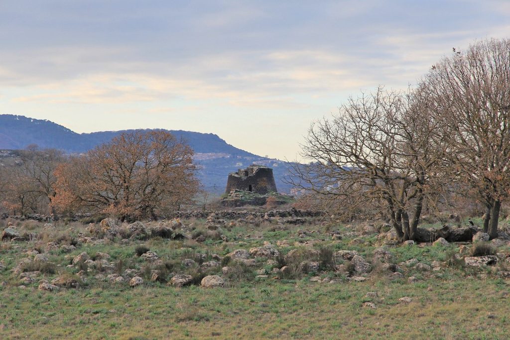 Nuraghe Oes: A Nuragic Residential Complex in Sardinia 2 Nuraghe Oes