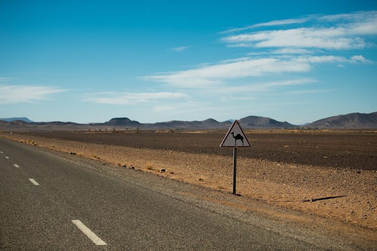 Sijilmasa: A Trans-Saharan Trading City in Morocco