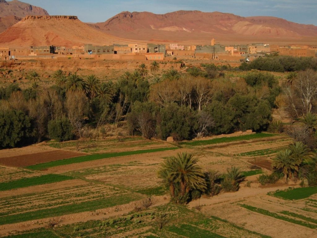 Sijilmasa: A Trans-Saharan Trading City in Morocco 2 Sijilmasa
