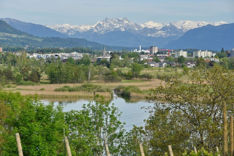 Wetzikon-Robenhausen: A Neolithic Lakeside Settlement in Switzerland