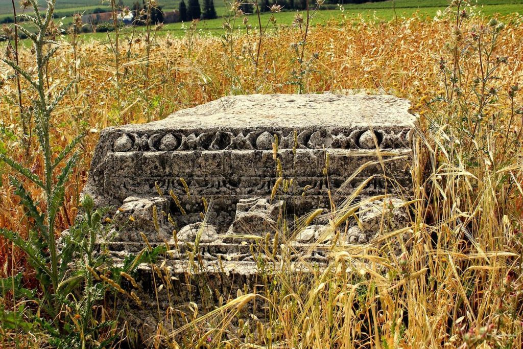 Kedesh: An Ancient Settlement and Administrative Center in Israel 3 Kedesh