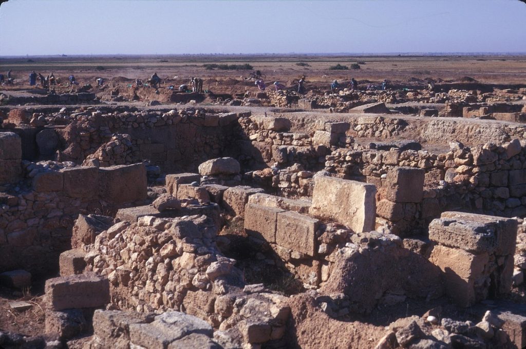 Enkomi: A Bronze Age Copper-Trading Settlement in Cyprus 3 Enkomi