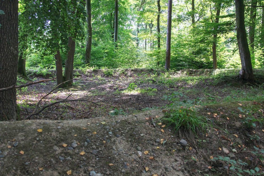 Castellum of Anhausen: A Roman Frontier Fort in Germany 2 Castellum of Anhausen