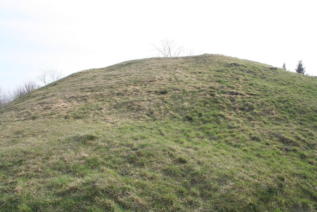 Schneiderberg: A Neolithic and Bronze Age Burial Mound in Germany 1 Schneiderberg
