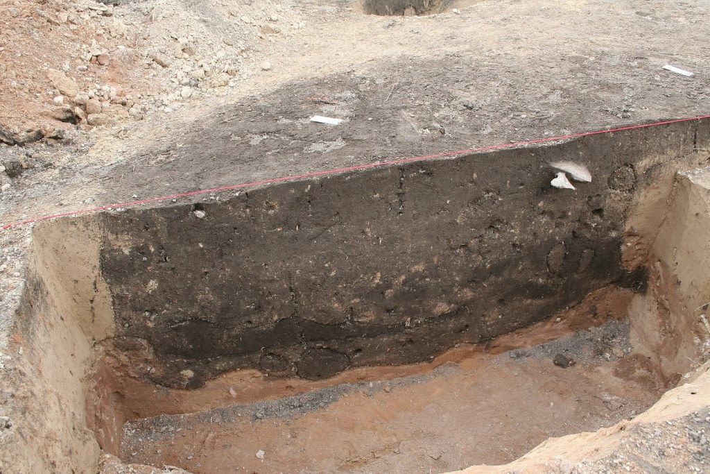 Schneiderberg: A Neolithic and Bronze Age Burial Mound in Germany 2 Schneiderberg