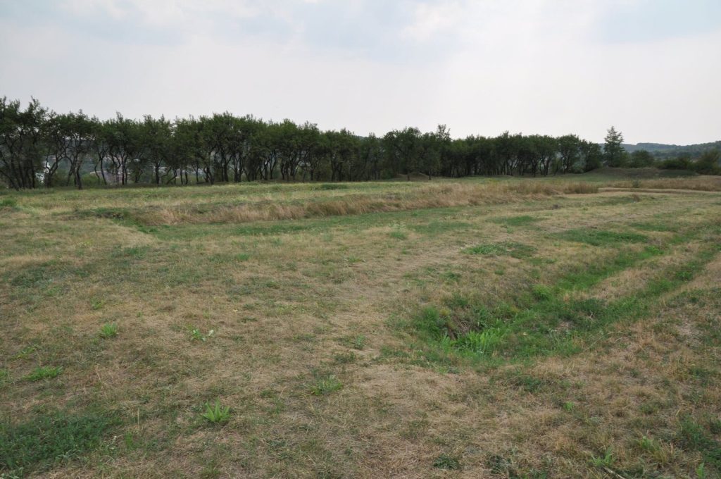 Castra of Buciumi: A Roman Auxiliary Fort in Romania 2 Castra of Buciumi