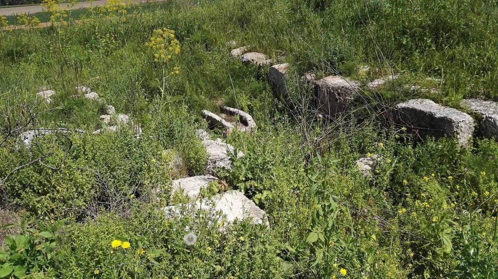 Ekron: A Canaanite and Philistine City in Israel 2 Ekron