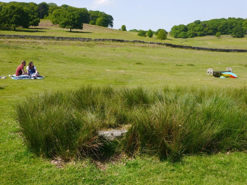 Bradgate Park: A Historic Deer Park in Leicester, United Kingdom 2 Bradgate Park