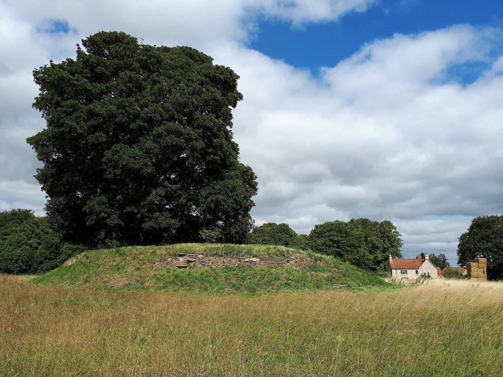 Asthall Barrow: A Seventh-Century Anglo-Saxon Cremation Burial Mound 1 Asthall Barrow: an Anglo-Saxon burial mound 100m SSW of Barrow Farm