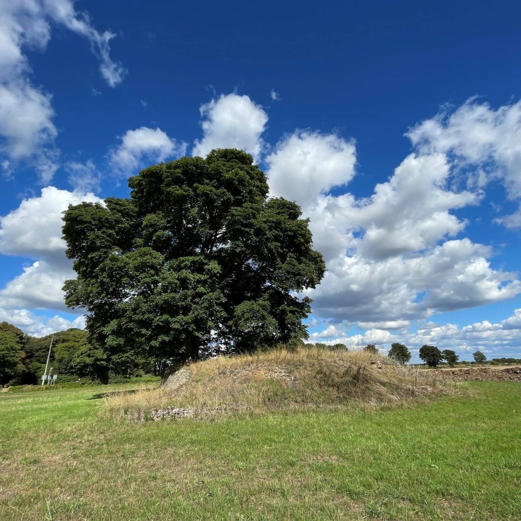 Asthall Barrow: A Seventh-Century Anglo-Saxon Cremation Burial Mound 2 Asthall Barrow: an Anglo-Saxon burial mound 100m SSW of Barrow Farm
