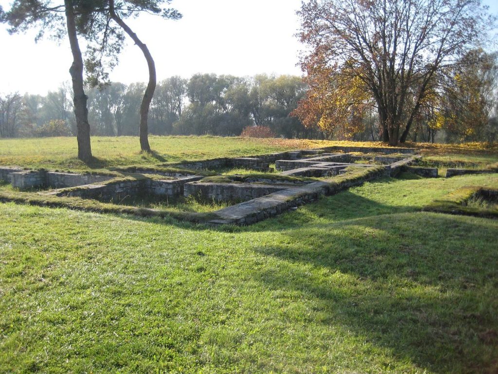 Castra Abusina: A Roman Fort on the Danube Frontier 2 Castra Abusina