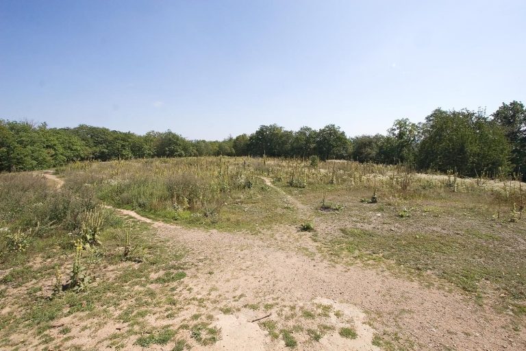Oppidum Závist: A Celtic Fortified Settlement in Czechia