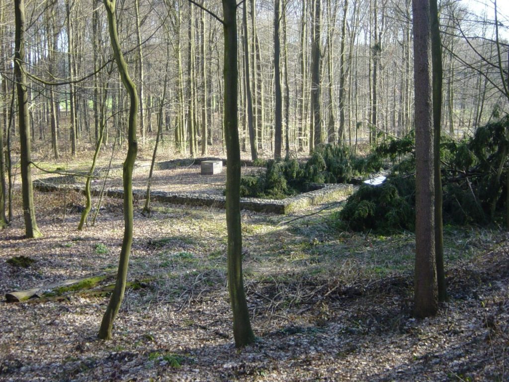Castellum of Holzheimer Unterwald: A Roman Frontier Fort 3 Castellum of Holzheimer Unterwald