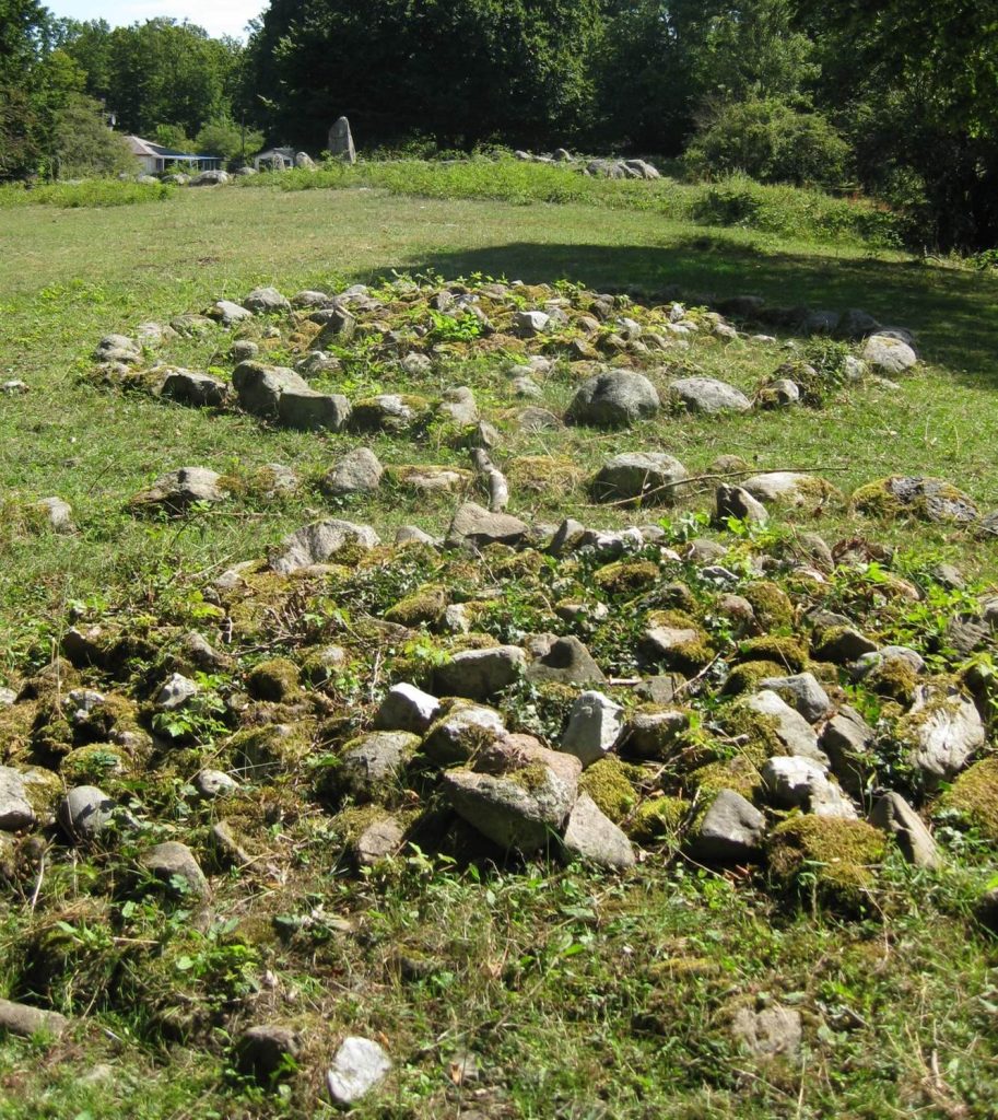 The King's Grave: A Nordic Bronze Age Burial Cairn in Sweden 1 The King's Grave