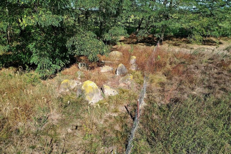 Megalithic Tombs near Leetze: Neolithic Burial Monuments in Germany