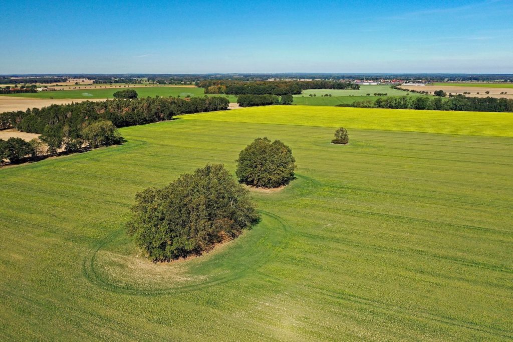 Megalithic Tombs near Leetze: Neolithic Burial Monuments in Germany 2 Großsteingräber bei Leetze