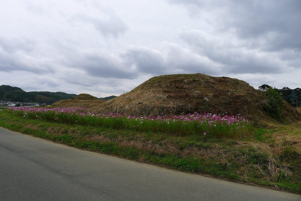 Shinbaru-Nuyama Kofun Group: A Fifth- and Sixth-Century Burial-Mound Complex in Japan 2 Shinbaru-Nuyama Kofun Group