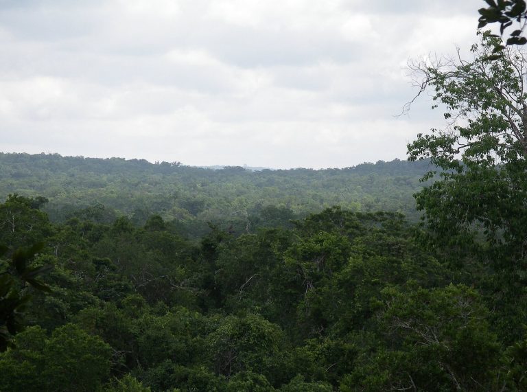 El Zotz: A Maya City in Guatemala’s Petén Basin