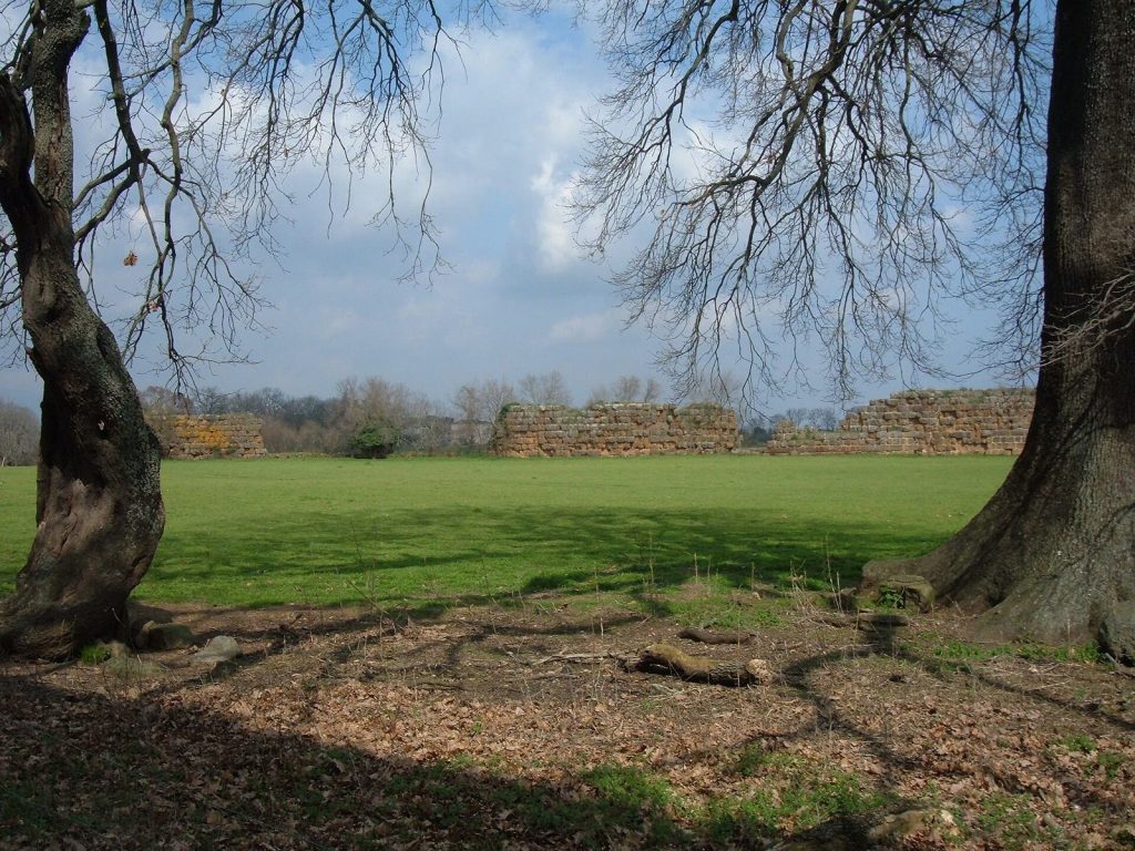 Falerii Novi: A Roman City and Medieval Abbey Site 3 Falerii Novi