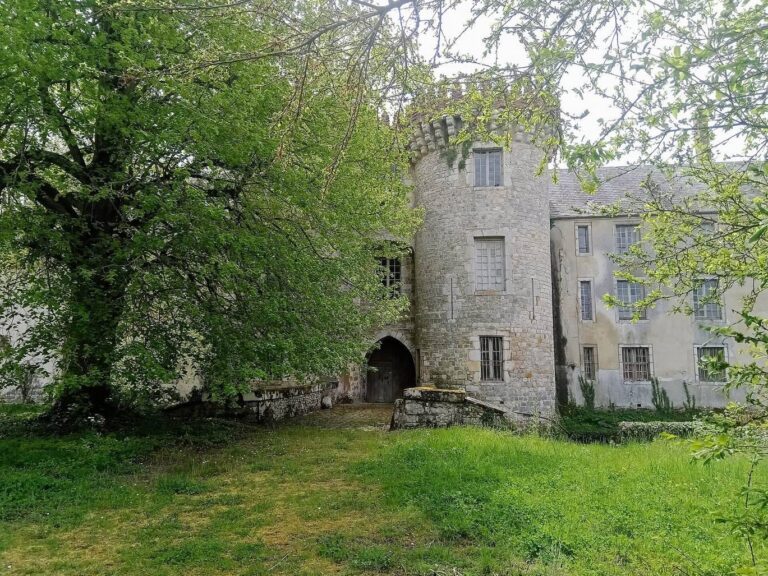 Bonde Castle: A Medieval Stronghold and Residence in Milly-la-Forêt, France