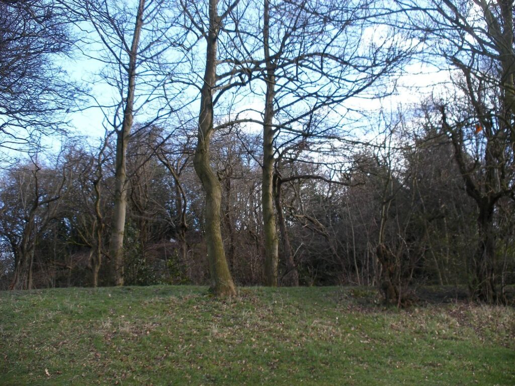 Wakefield Castle: A Medieval Earthwork Fortification in England 1 Wakefield Castle