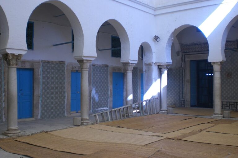 Madrasa of the Dyers: An Islamic School and Student Residence in Tunis