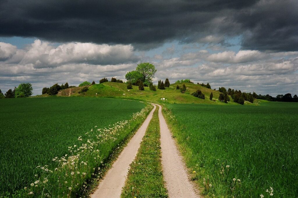 Valsgärde: A Burial Ground of the Vendel and Viking Ages 1 Valsgärde