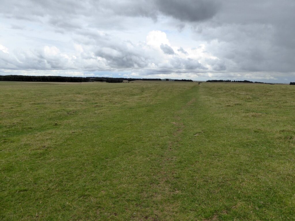 Stonehenge Cursus: A Neolithic Earthwork near Stonehenge 1 Stonehenge Cursus