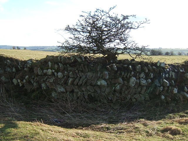 Longovicium: A Roman Auxiliary Fort in County Durham