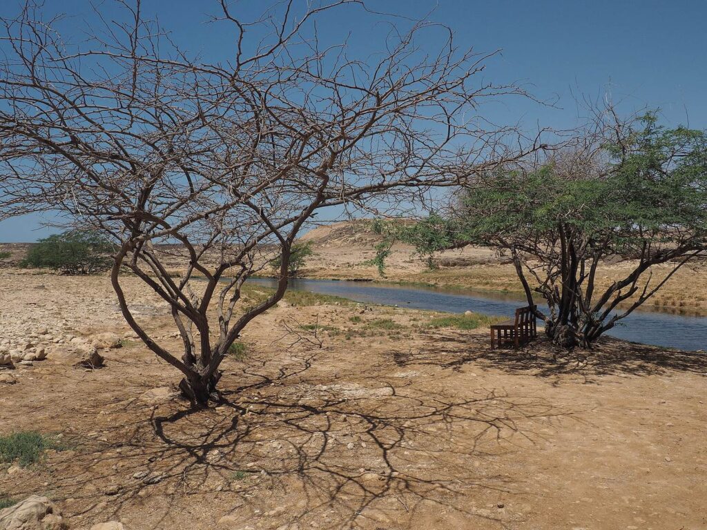 Khor Rori: An Ancient Frankincense Harbor and Estuary in Oman 1 Khor Rori