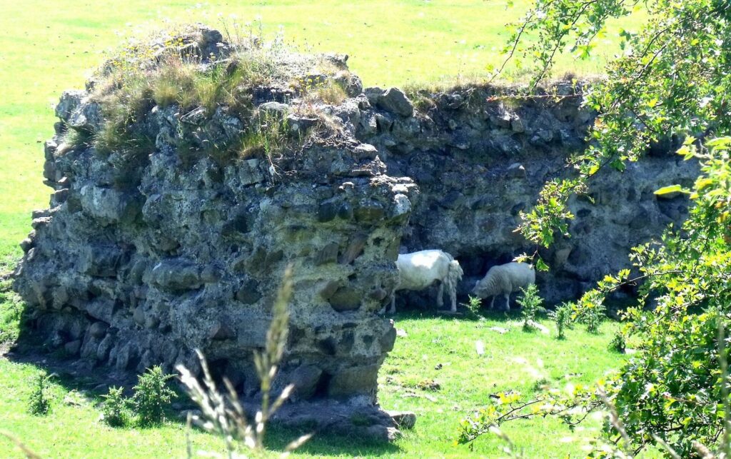 Magis Roman Fort