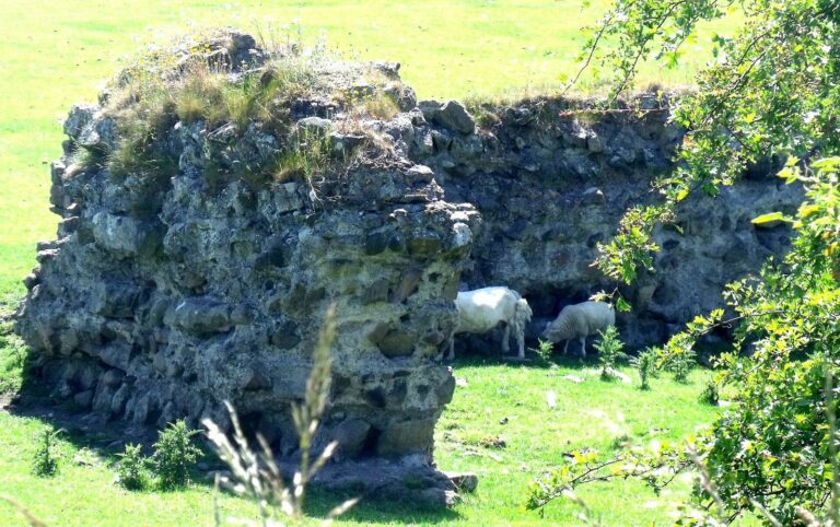 Magis Roman Fort: A Roman Coastal Defense in Workington