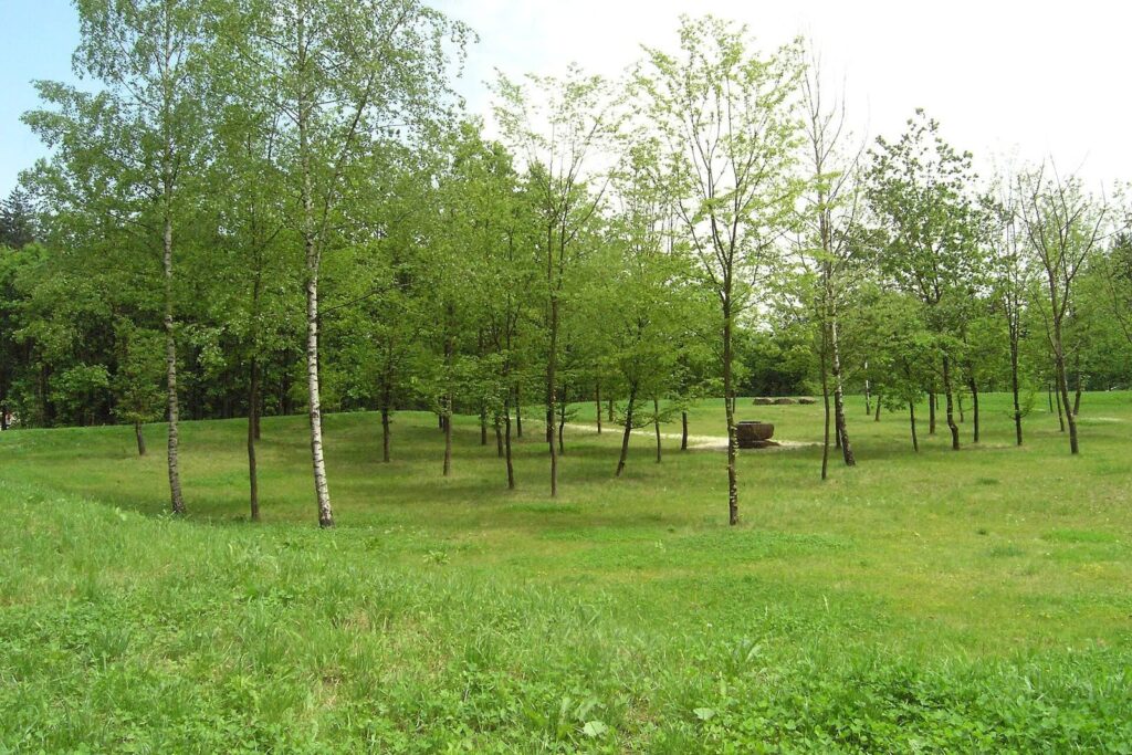 Kleinkastell Freimühle: A Roman Frontier Fort on the Raetian Limes 1 Kleinkastell Freimühle
