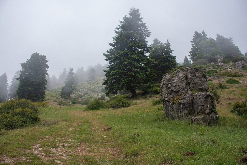 Gibelacar: A Medieval Fortress in Lebanon 1 Gibelacar
