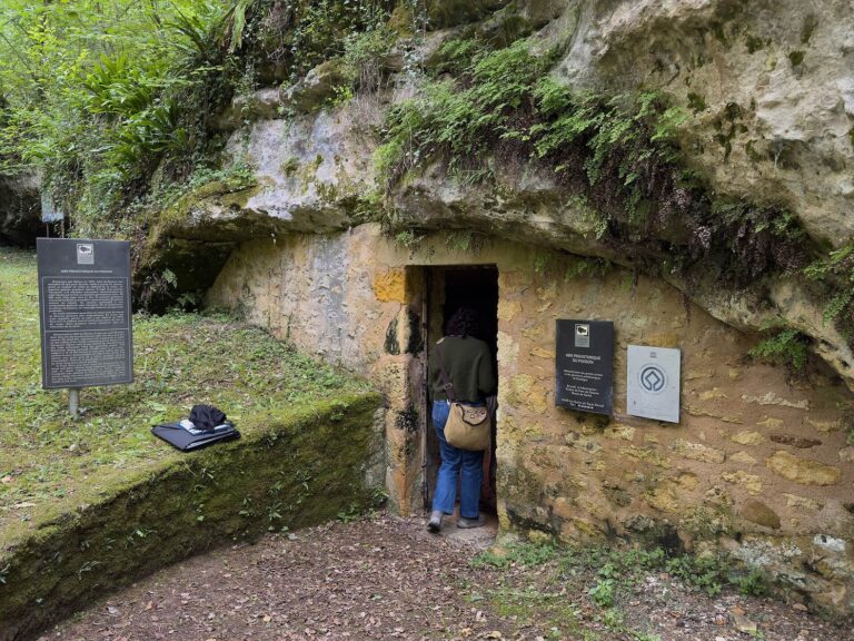 Abri du Poisson: A Prehistoric Decorated Rock Shelter in France