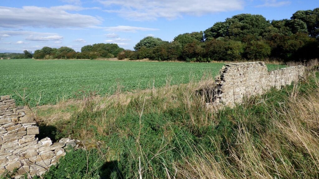 Stanwick Camp: A Brigantian Fortified Centre 2 Stanwick Camp