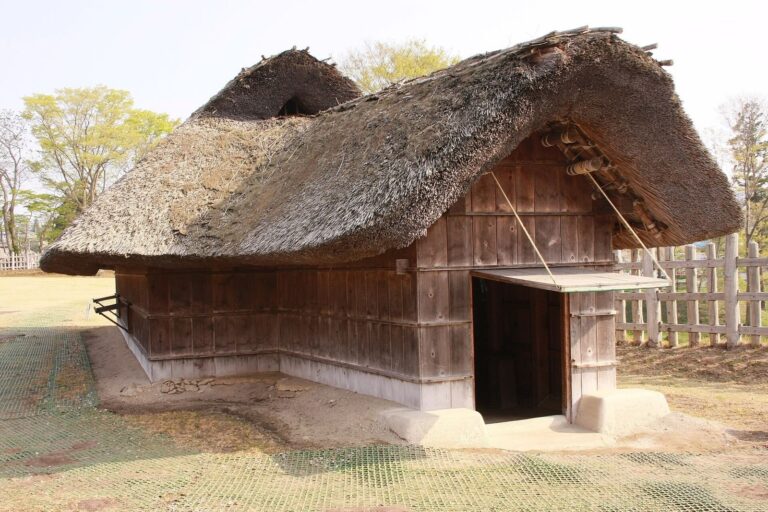 Ne Castle: A Medieval Japanese Castle and Administrative Center