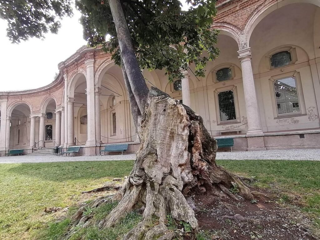 Rotonda della Besana: A Baroque Cemetery Complex in Milan 2 Rotonda della Besana