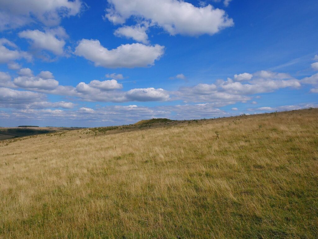 Bratton Castle: An Iron Age Hillfort in England 2 Bratton Castle