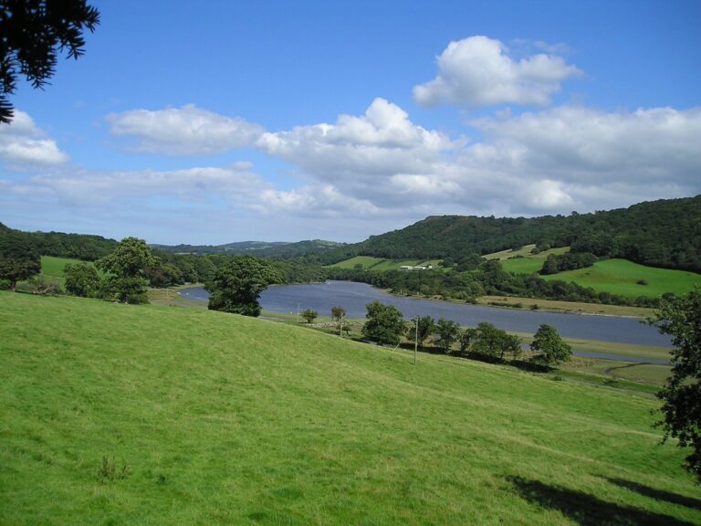 Canovium: A Roman Fort in North Wales