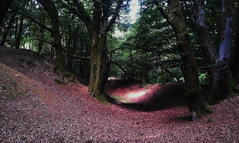 Hembury: A Neolithic Enclosure and Iron Age Hillfort in Devon