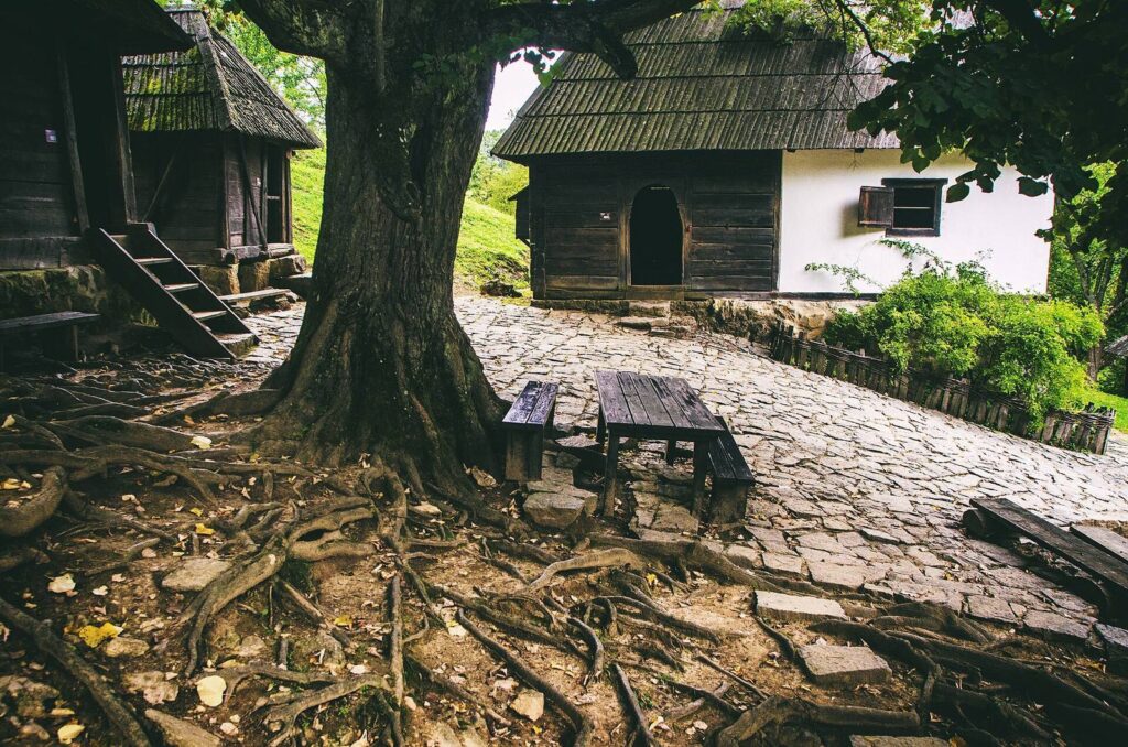 Birthplace of Vuk Karadžić: Memorial House and Cultural Site in Tršić 2 Birthplace of Vuk Karadžić