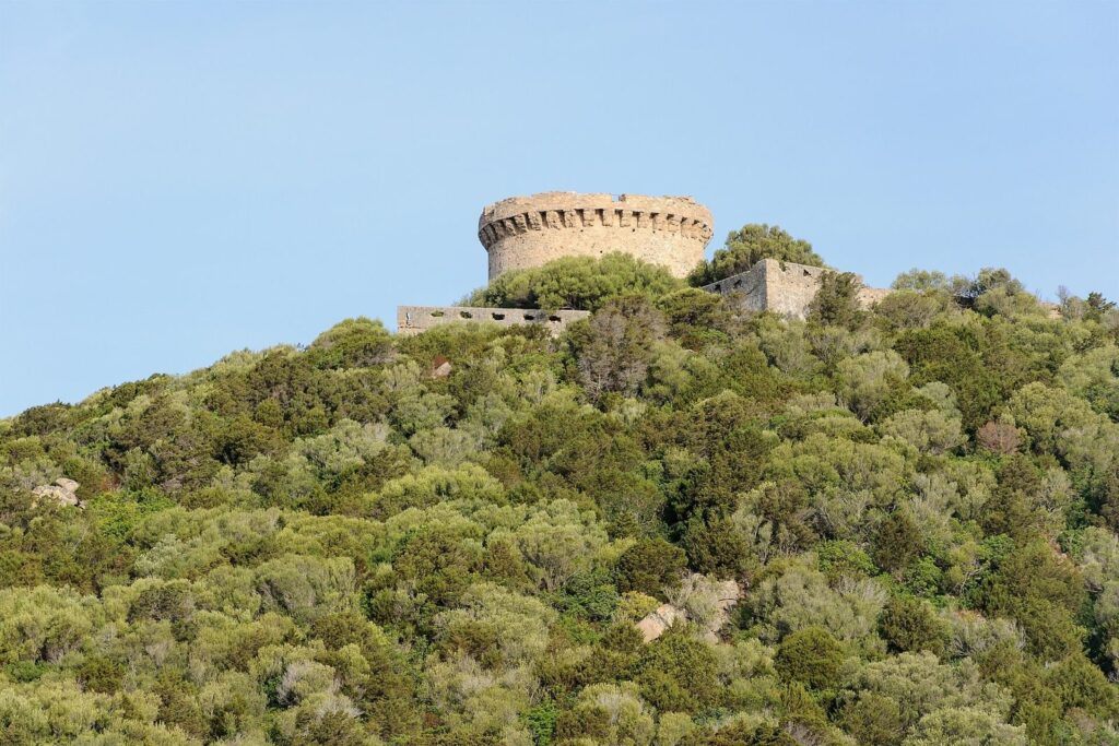Torra di Campomoru: A Genoese Coastal-Defense Tower in Corsica 2 Torra di Campomoru