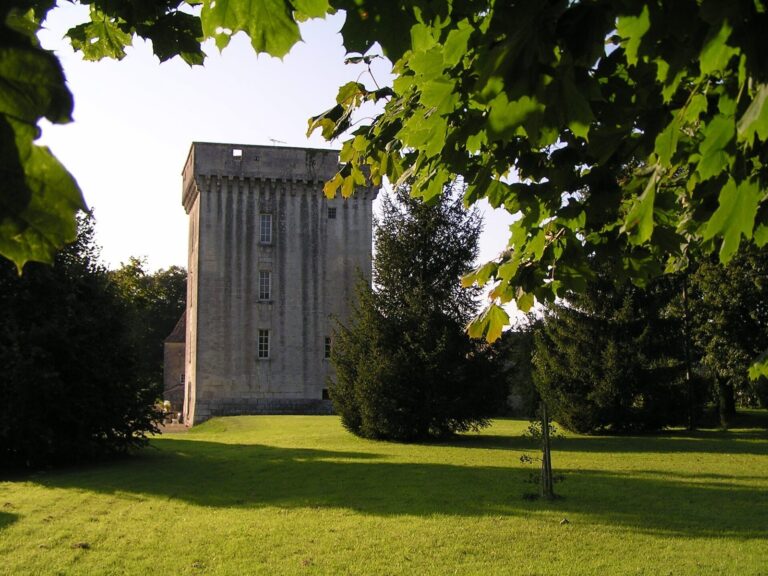 Tour du Breuil: A Fortified Tower and Residence in France