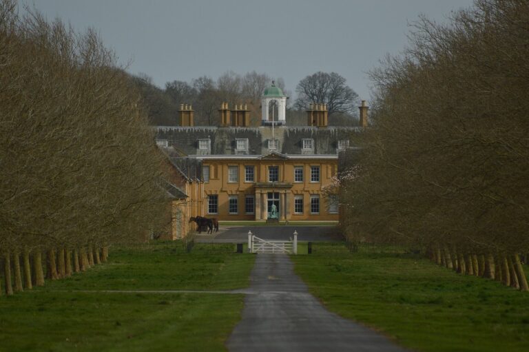 Stratfield Saye House: A Country House and Home of the Dukes of Wellington
