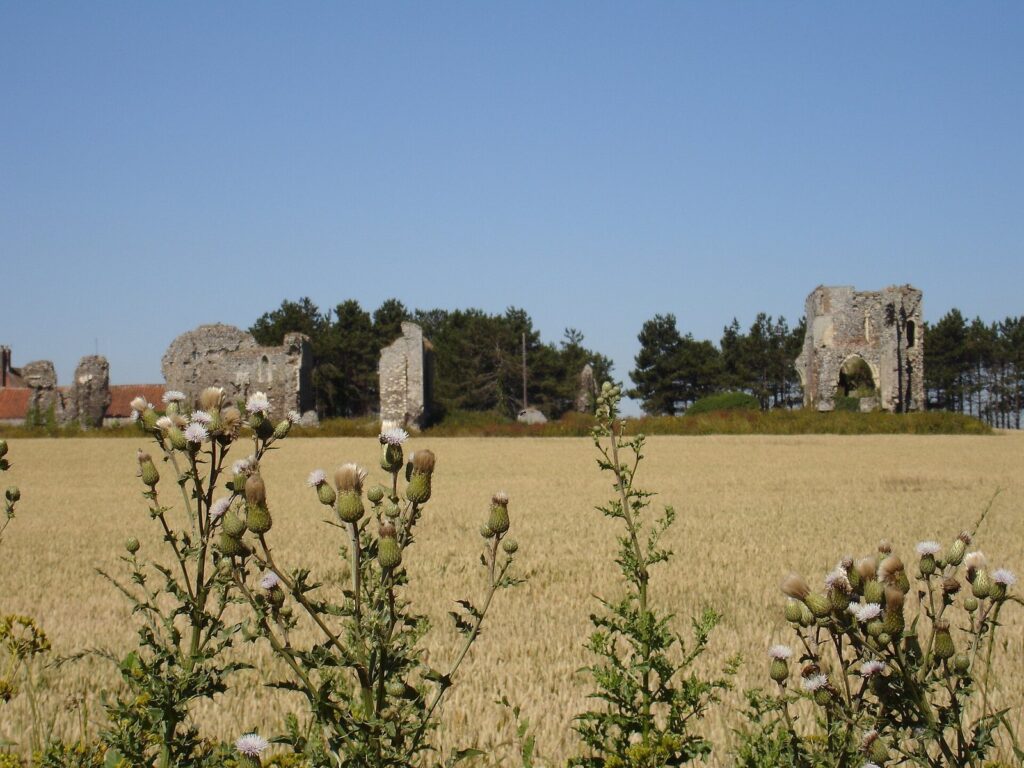 Bromholm Priory: A Cluniac Monastery and Pilgrimage Shrine in Norfolk 1 Bromholm Priory